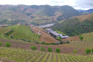 Z Porto: 2 regiony winiarskie, lunch na farmie i rejs