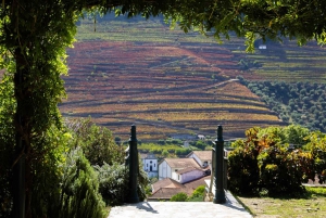 Z Porto: 2 regiony winiarskie, lunch na farmie i rejs