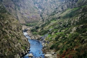 Vanuit Porto: 516 Rondleiding over de Arouca-brug en Paiva-wandelpaden