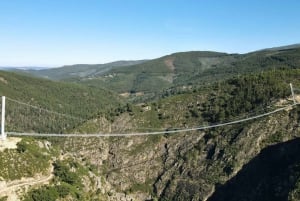 Från Porto: Guidad dagsutflykt till Arouca 516 och Paiva Walkways