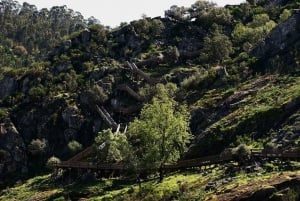 Från Porto: Guidad dagsutflykt till Arouca 516 och Paiva Walkways