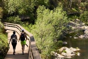 Från Porto: Guidad dagsutflykt till Arouca 516 och Paiva Walkways