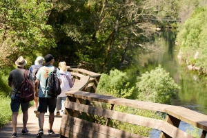 Från Porto: Guidad dagsutflykt till Arouca 516 och Paiva Walkways