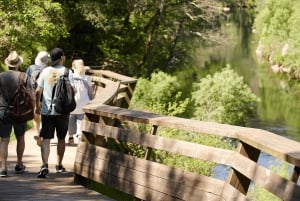 Från Porto: Guidad dagsutflykt till Arouca 516 och Paiva Walkways