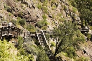 Från Porto: Guidad dagsutflykt till Arouca 516 och Paiva Walkways