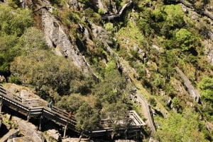 Från Porto: Guidad dagsutflykt till Arouca 516 och Paiva Walkways