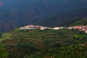 Fra Porto: Privat dagstur til Arouca Geopark