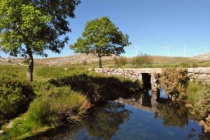 Fra Porto: Privat dagstur til Arouca Geopark