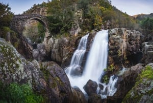 Från Porto: Arouca Geopark privat dagsutflykt