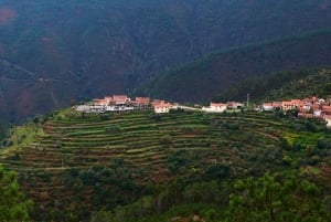 Från Porto: Arouca Geopark privat dagsutflykt