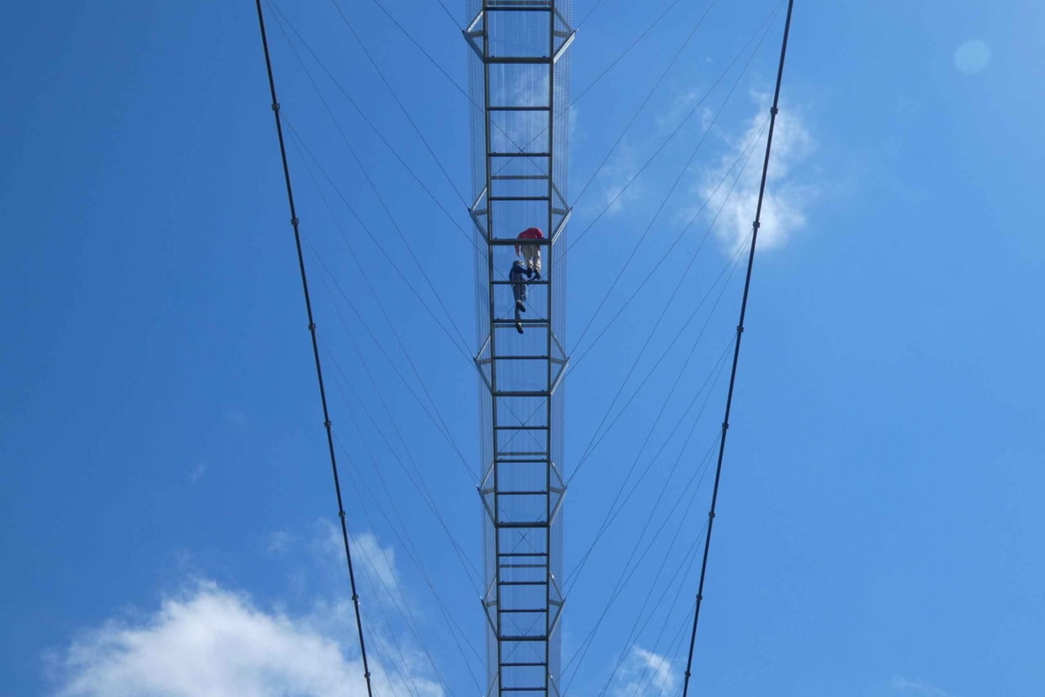 Von Porto: Aveiro-Boot, Paiva-Hängebrücke & Wanderwege