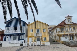 Z Porto: Wycieczka do Aveiro i Coimbry z rejsem łodzią Moliceiro