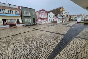 Z Porto: Wycieczka do Aveiro i Coimbry z rejsem łodzią Moliceiro