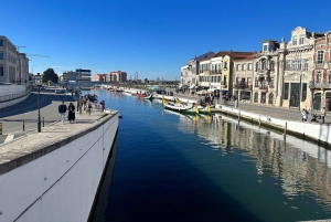 Z Porto: Wycieczka do Aveiro i Coimbry z rejsem łodzią Moliceiro