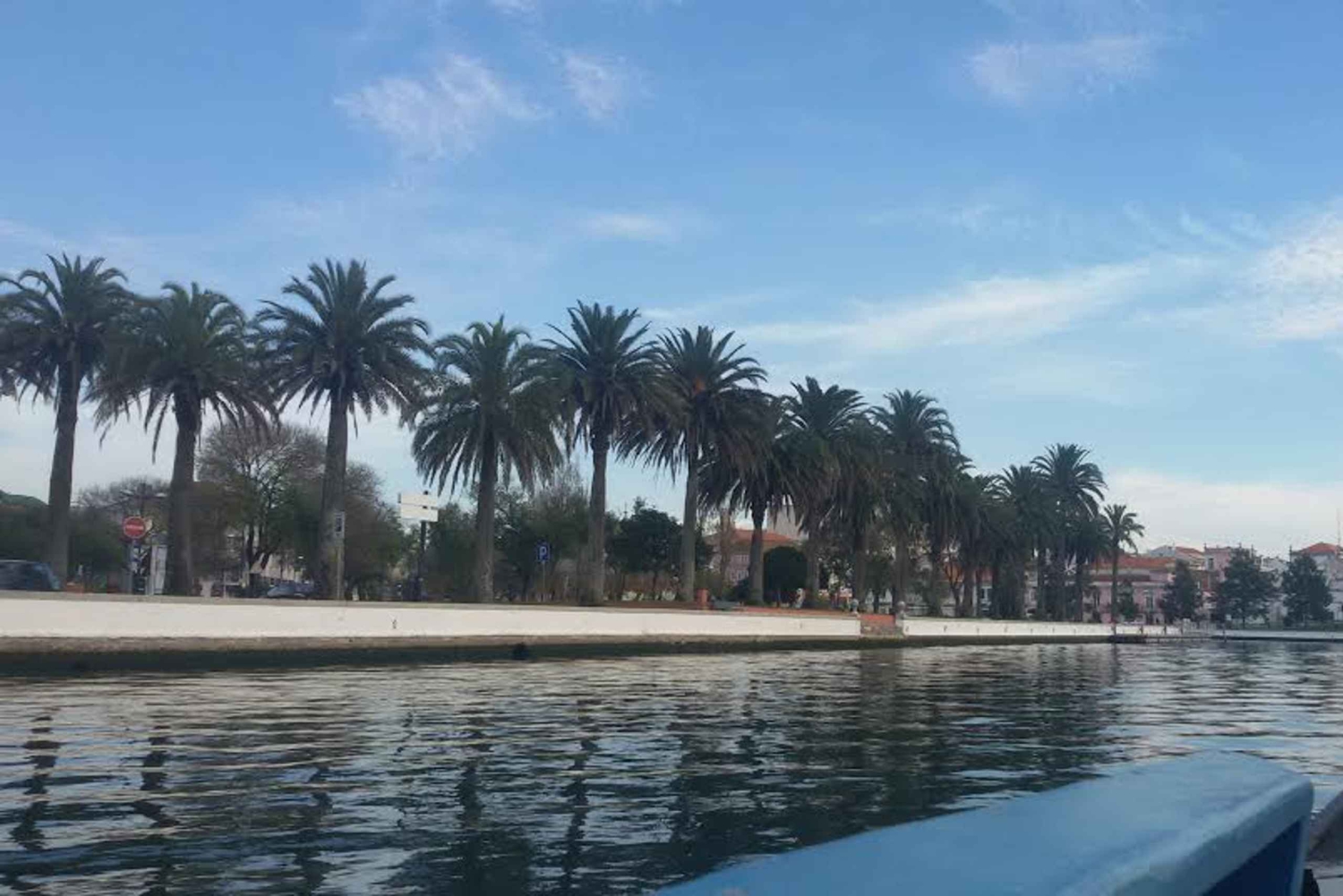 Z Porto: Wycieczka do Aveiro i Coimbry z rejsem łodzią Moliceiro