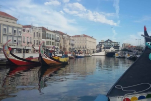 Z Porto: Wycieczka do Aveiro i Coimbry z rejsem łodzią Moliceiro
