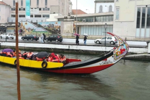 Z Porto: Wycieczka do Aveiro i Coimbry z rejsem łodzią Moliceiro