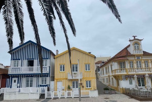 Z Porto: Wycieczka do Aveiro i Coimbry z rejsem łodzią Moliceiro