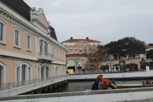 Z Porto: Wycieczka do Aveiro i Coimbry z rejsem łodzią Moliceiro