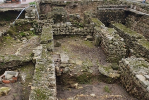 Z Porto: Wycieczka do Aveiro i Coimbry z rejsem łodzią Moliceiro