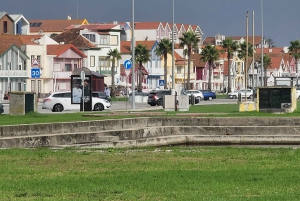Z Porto: Wycieczka do Aveiro i Coimbry z rejsem łodzią Moliceiro