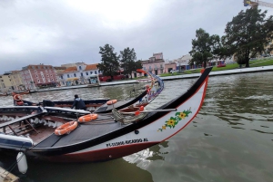 Z Porto: Wycieczka do Aveiro i Coimbry z rejsem łodzią Moliceiro