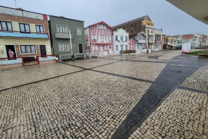 Z Porto: Wycieczka do Aveiro i Coimbry z rejsem łodzią Moliceiro