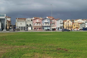 Z Porto: Wycieczka do Aveiro i Coimbry z rejsem łodzią Moliceiro