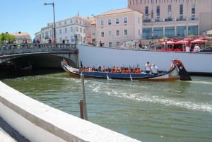 Z Porto: Półdniowa wycieczka do Aveiro z 1-godzinnym rejsem