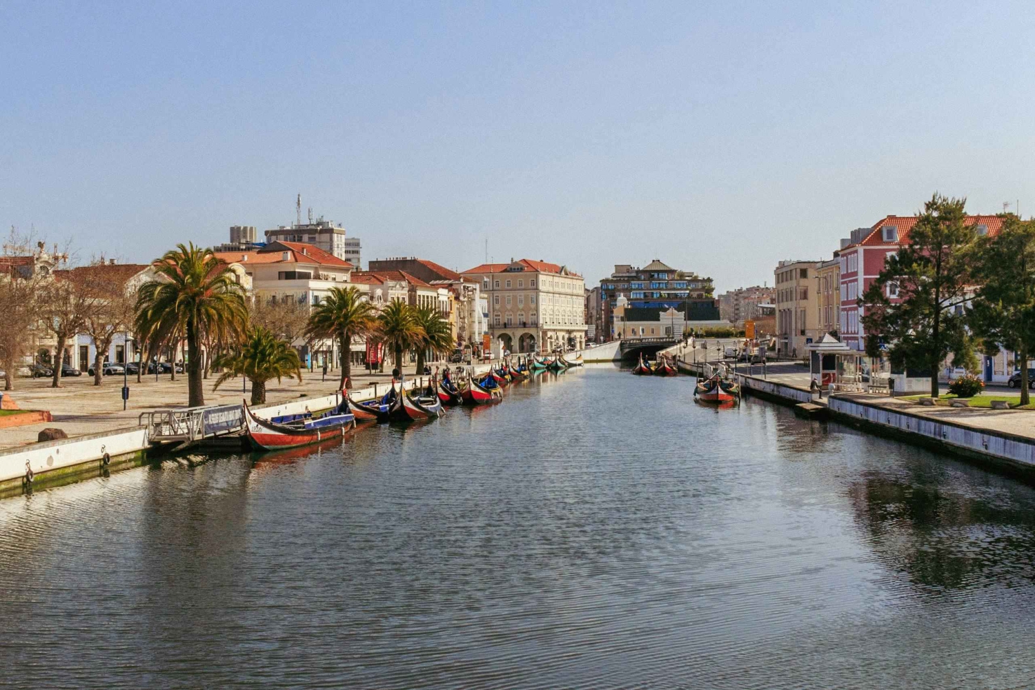 Z Porto: Półdniowa wycieczka do Aveiro