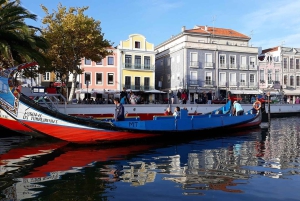 Z Porto: Półdniowa wycieczka do Aveiro
