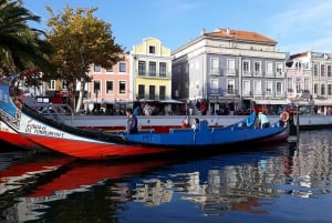 Z Porto: Półdniowa wycieczka do Aveiro