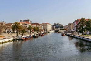 Z Porto: Półdniowa wycieczka do Aveiro