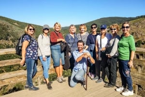 From Porto: Aveiro, Paiva Walkways and Arouca 516 Footbridge