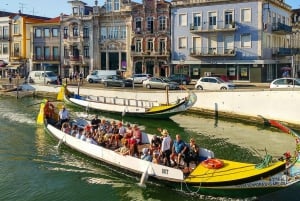 From Porto: Aveiro, Paiva Walkways and Arouca 516 Footbridge