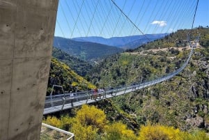 From Porto: Aveiro, Paiva Walkways and Arouca 516 Footbridge