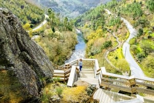 From Porto: Aveiro, Paiva Walkways and Arouca 516 Footbridge