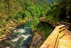From Porto: Aveiro, Paiva Walkways and Arouca 516 Footbridge