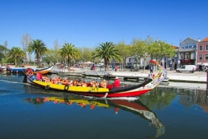 From Porto: Aveiro, Paiva Walkways and Arouca 516 Footbridge