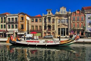 From Porto: Aveiro, Paiva Walkways and Arouca 516 Footbridge