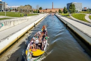 From Porto: Aveiro, Paiva Walkways and Arouca 516 Footbridge