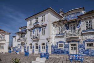 Vanuit Porto: Aveiro Privé Dagtrip met gids