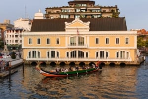 Vanuit Porto: Aveiro Privé Dagtrip met gids