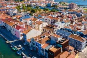 Vanuit Porto: Aveiro Privé Dagtrip met gids