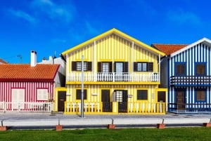 Vanuit Porto: Aveiro Privé Dagtrip met gids