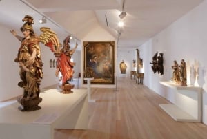 Vanuit Porto: Aveiro Privé Dagtrip met gids