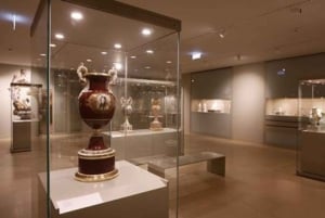 Vanuit Porto: Aveiro Privé Dagtrip met gids