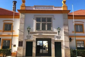 Vanuit Porto: Aveiro Privé Dagtrip met gids