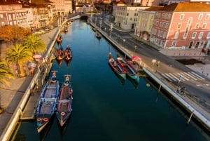Portosta: Aveiro Yksityinen opastettu päiväretki