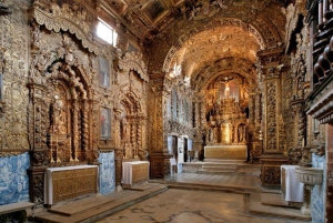 Portosta: Aveiro Yksityinen opastettu päiväretki